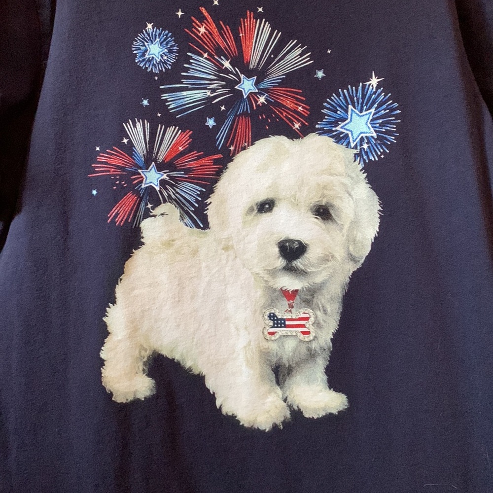 Faded Glory 4th of July T-Shirt